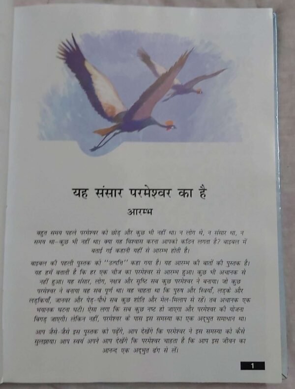 The Holy Hindi Children's Bible , Bible Children's , Jesus Storybook Bible , Hardcover - Image 3