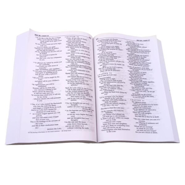 Daily Walk Bible NIV Version - Image 5