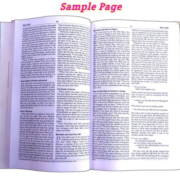 The Holy Esv New Testment Bible | English Standard Version Bible - Image 4